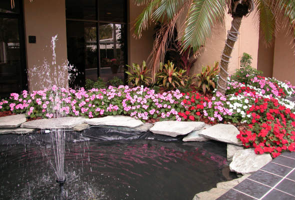 Water Fountain and flowers